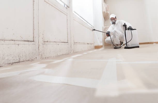 24/7 Emergency Mold Remediation experts in Pineville, PA