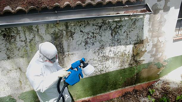 Top rated local Mold Remediation specialists in Pineville, PA